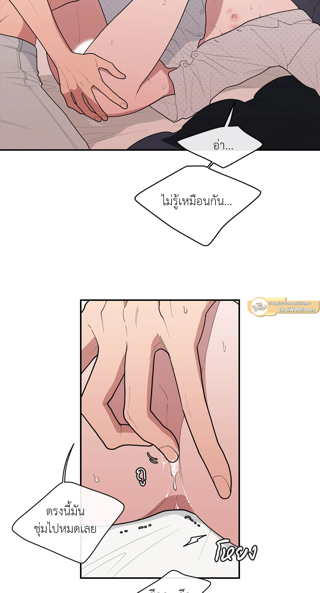 หน้า 43