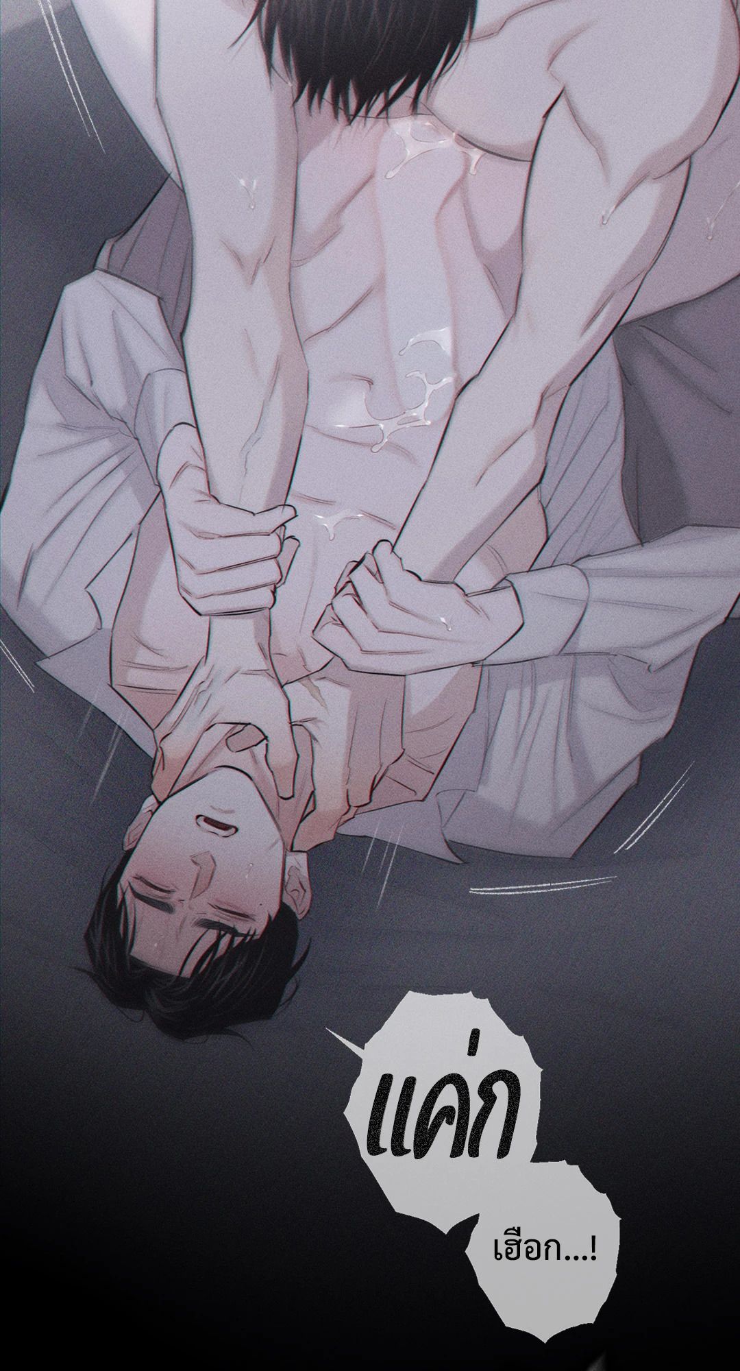 หน้า 41
