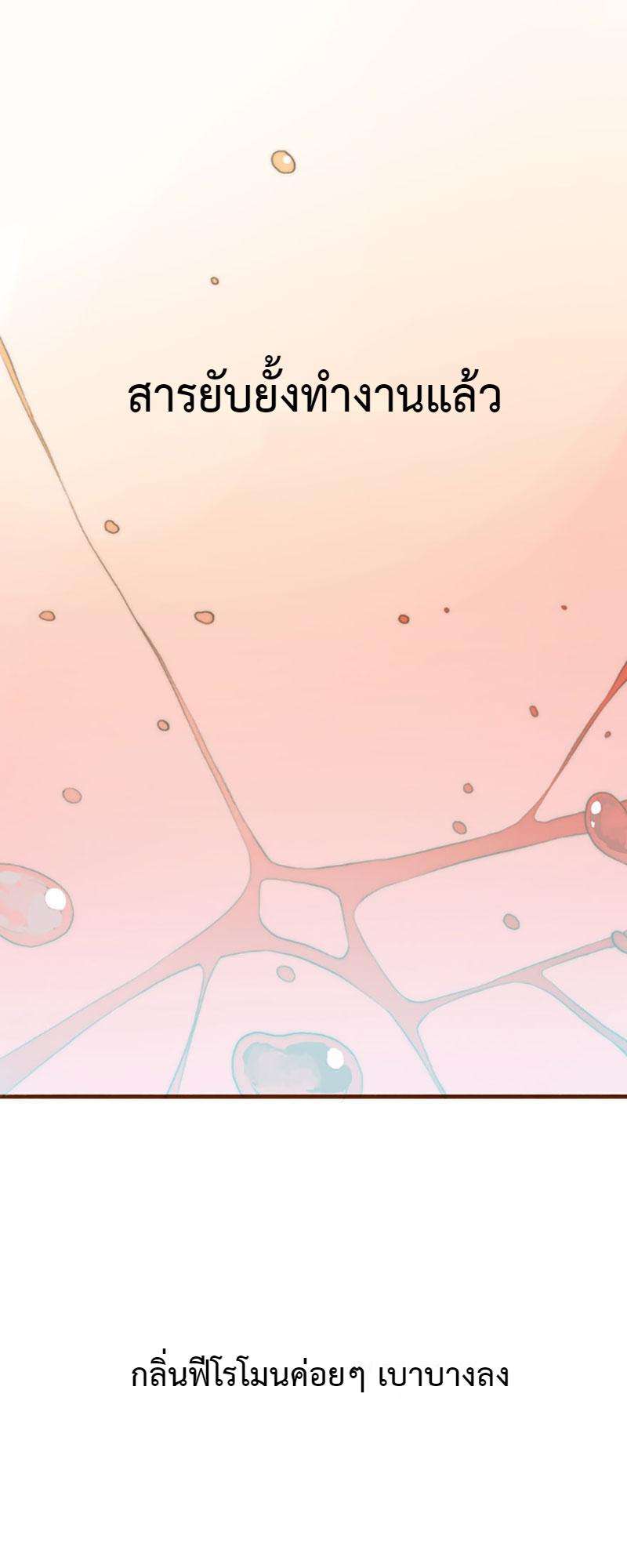 ลมหลงบุปผา | Honey Trap ตอนที่ 8 - รูปที่ 2