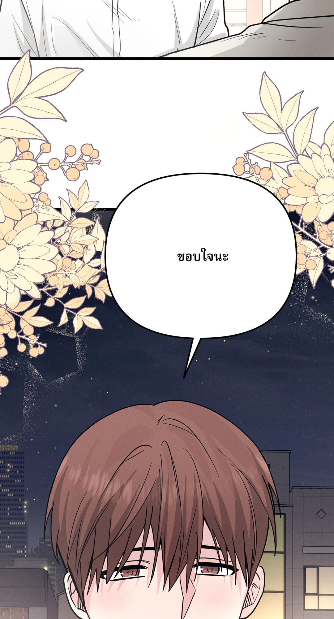 หน้า 102