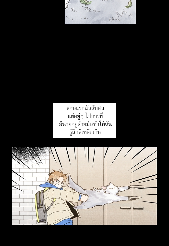 มารักกับเหมียวมั้ยครับ | My One and Only Cat ตอนที่ 60 - รูปที่ 2