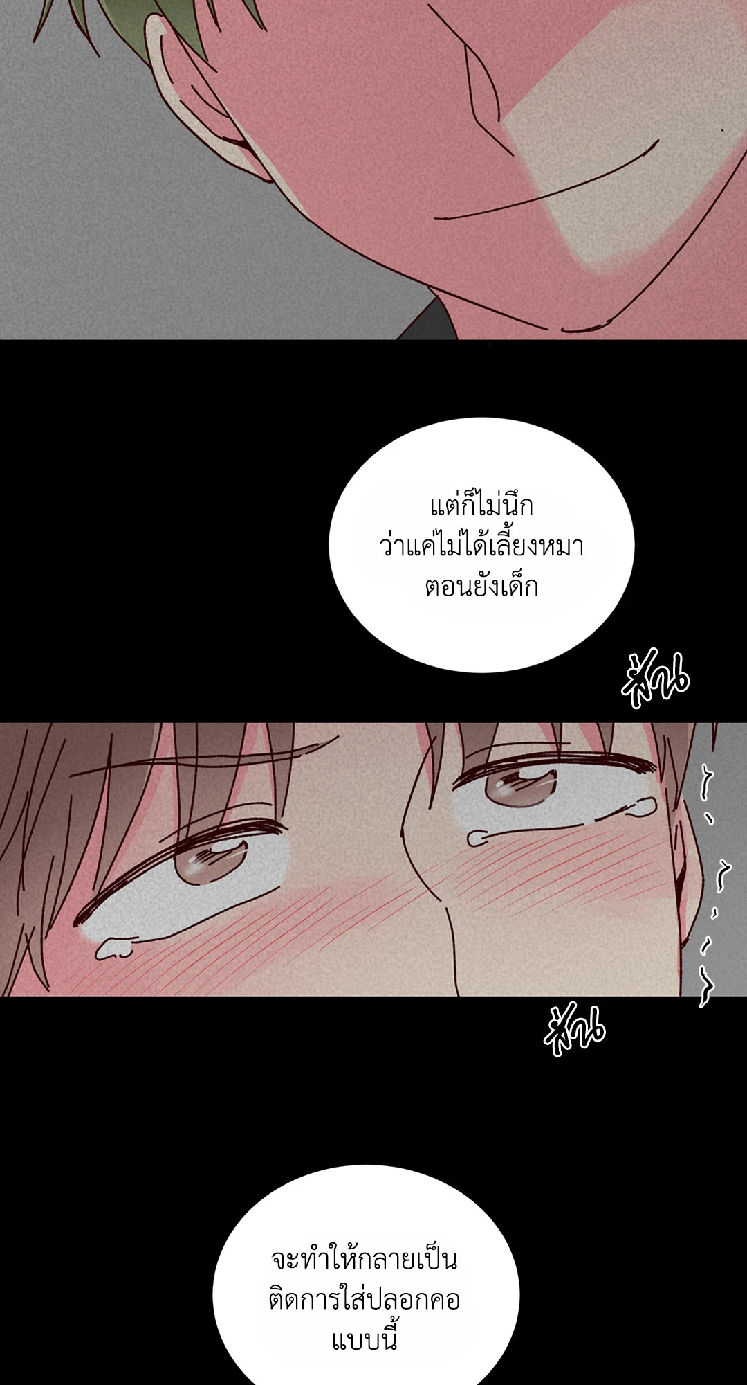 หน้า 43