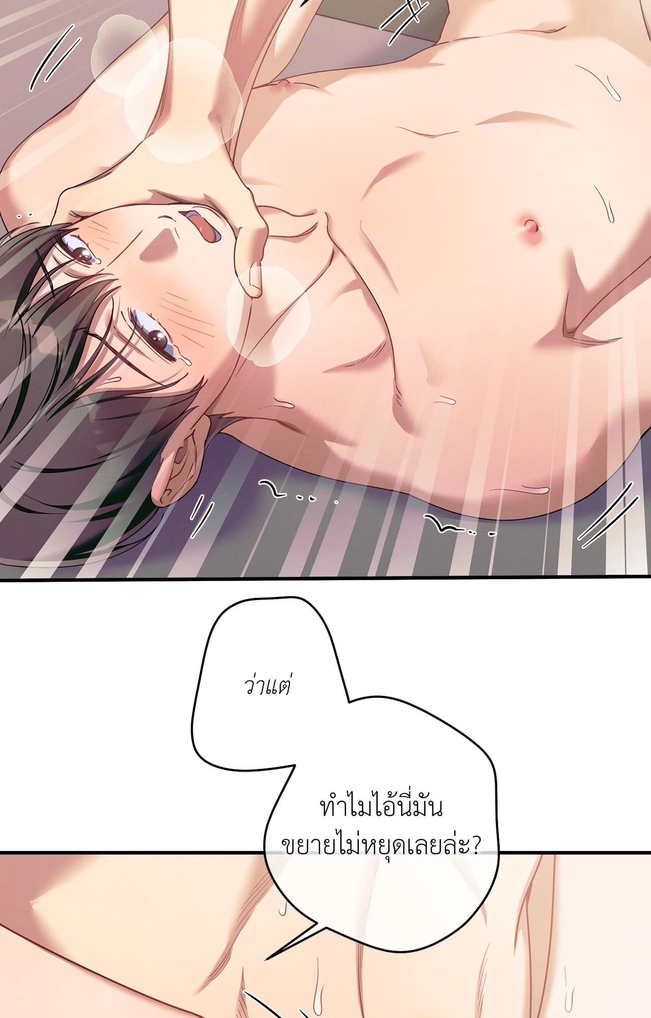 หน้า 31