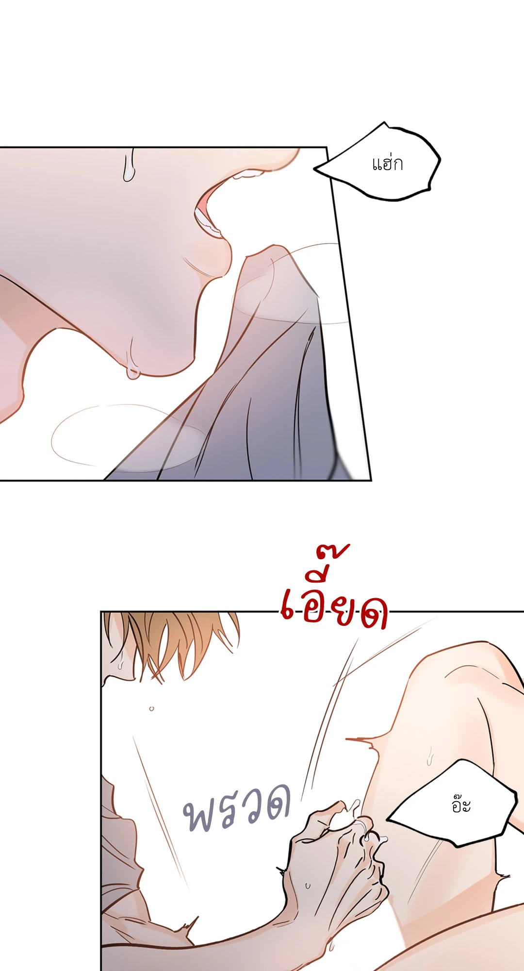 หน้า 49