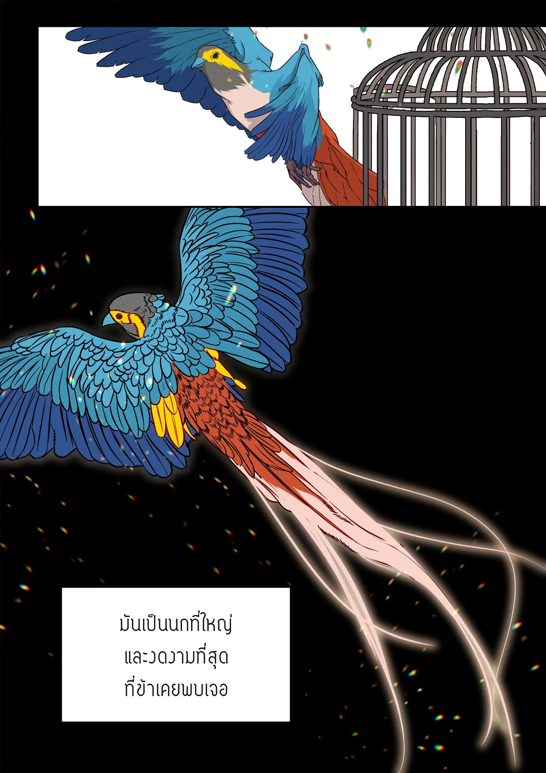 หน้า 31