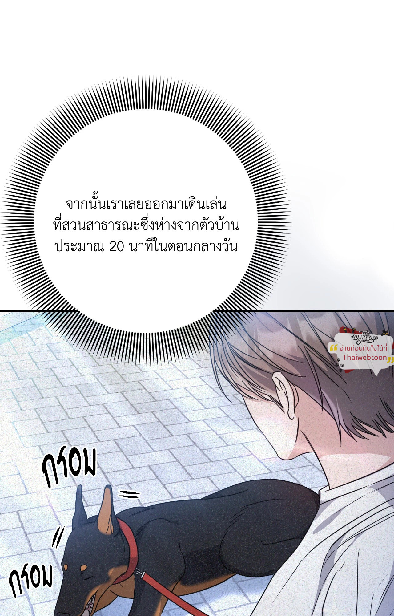 หน้า 17