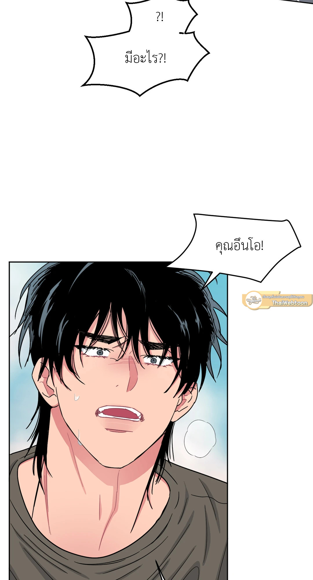 หน้า 43