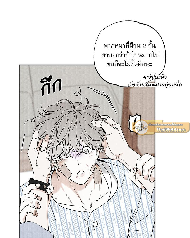 หน้า 44
