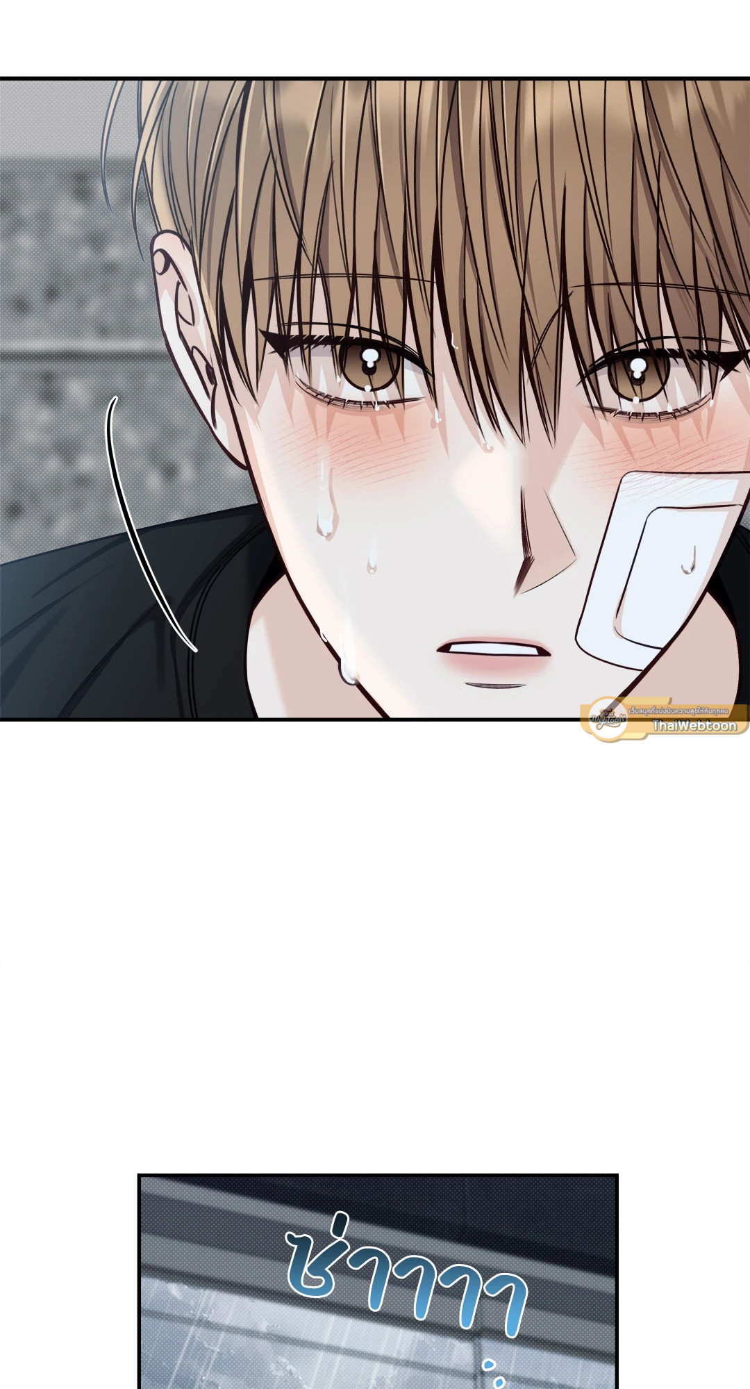 หน้า 51