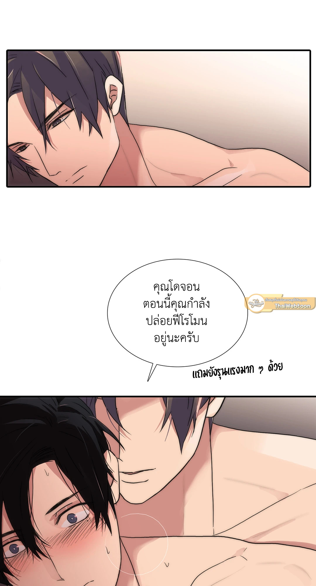 หน้า 43