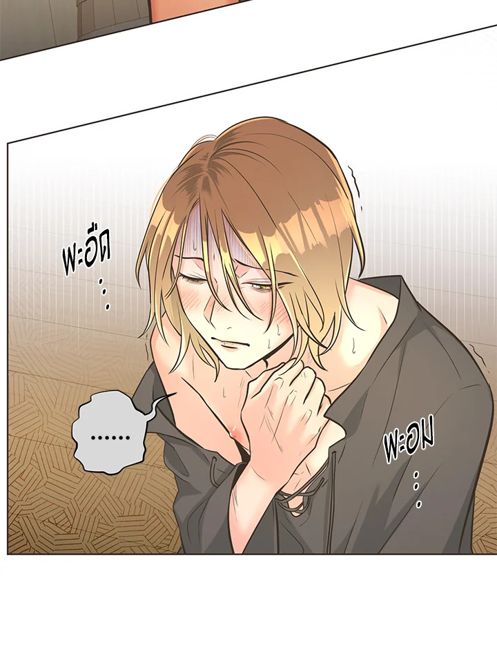 หน้า 42
