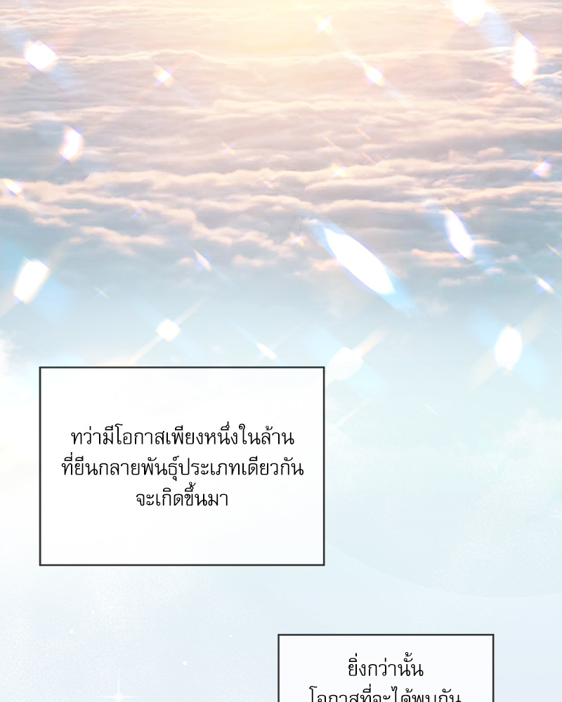 หน้า 119