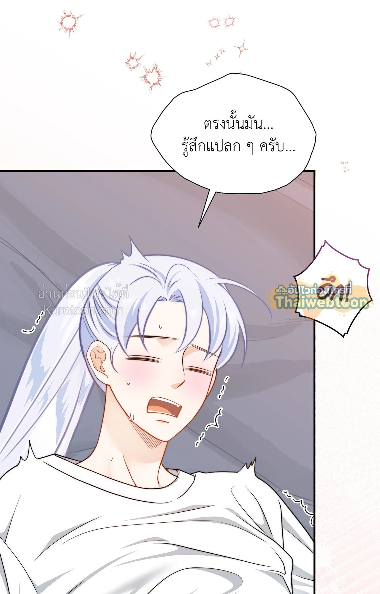 หน้า 41