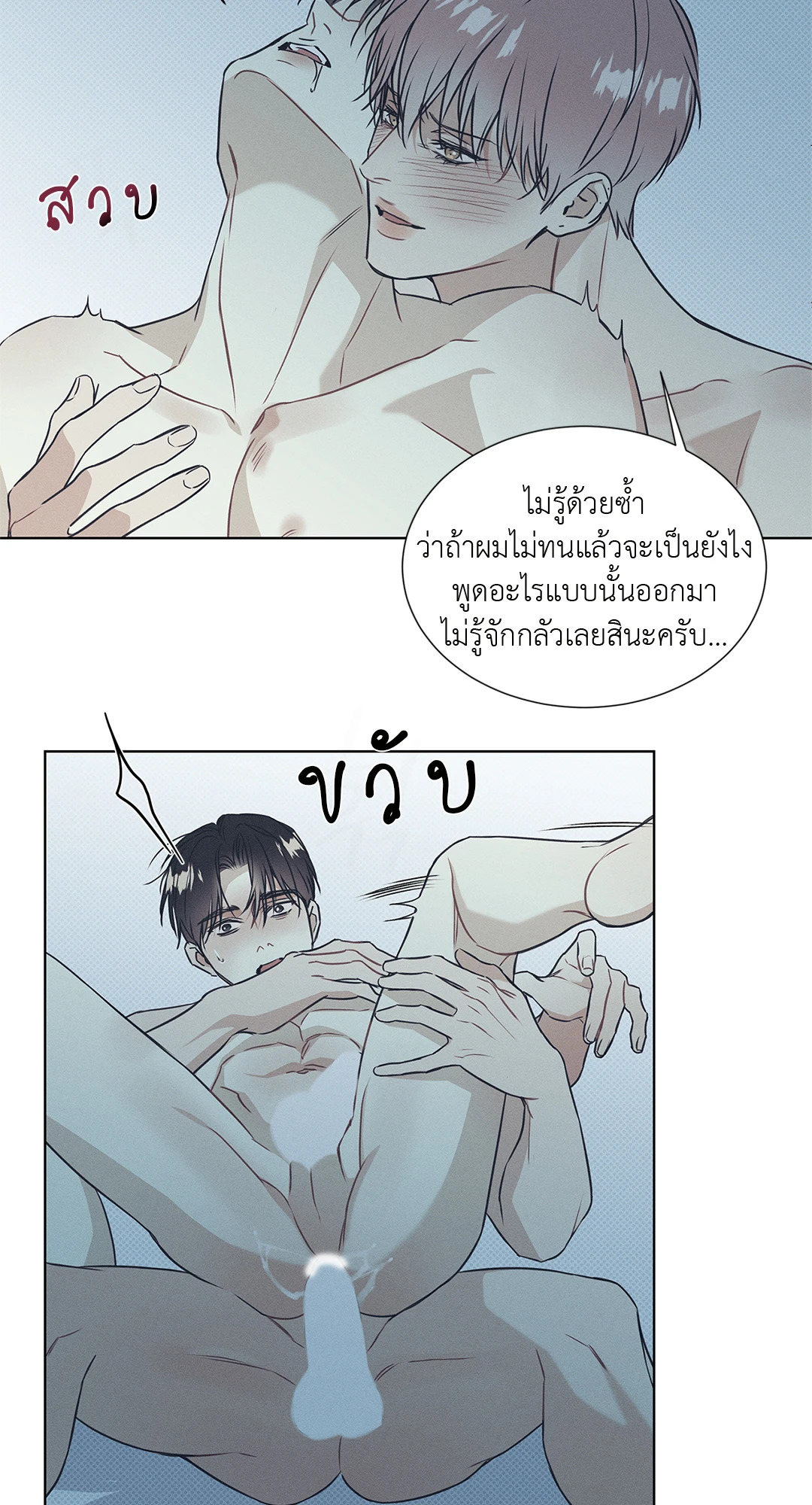 หน้า 41
