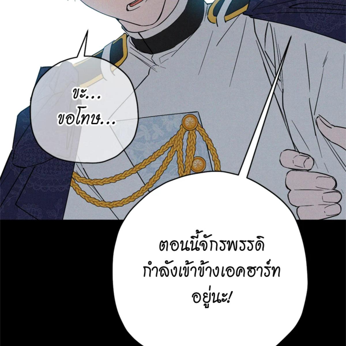 หน้า 117