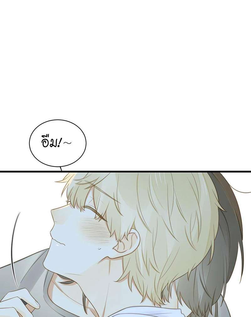 หน้า 41