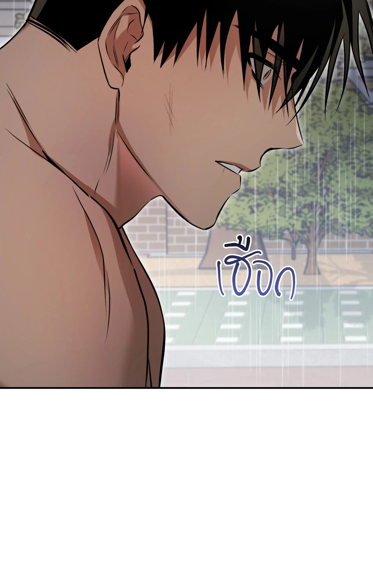 หน้า 116