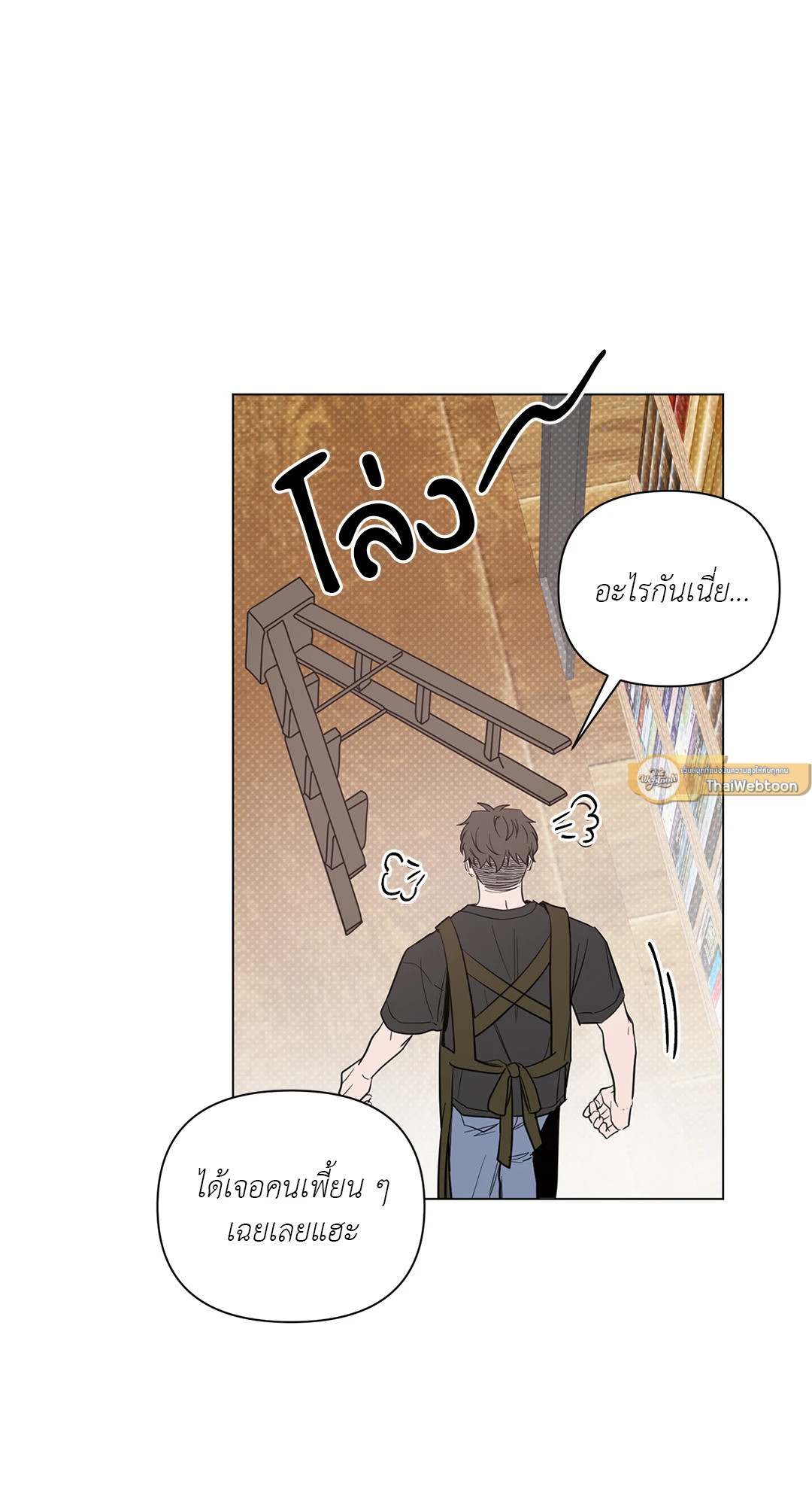 หน้า 43