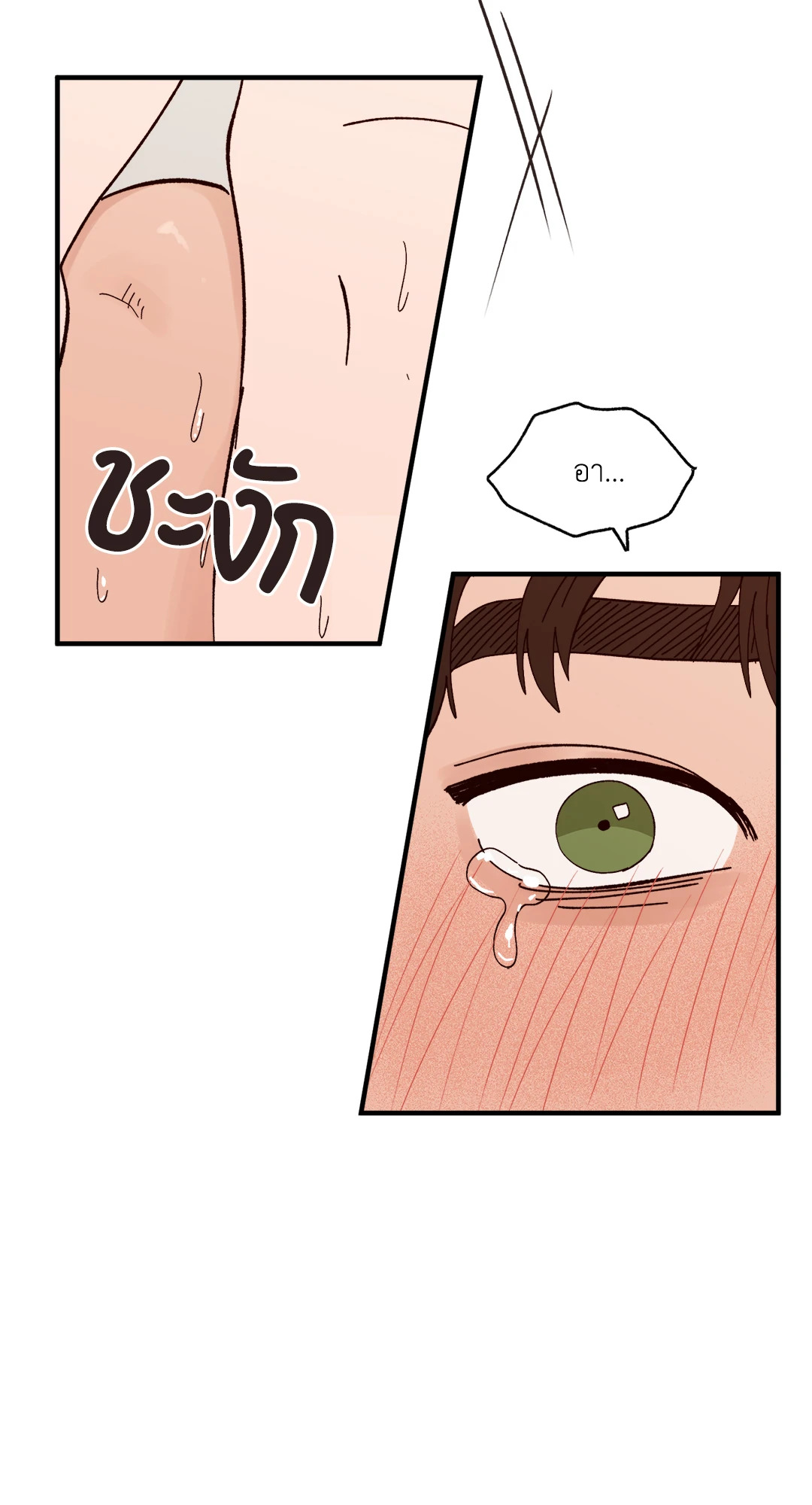 หน้า 43