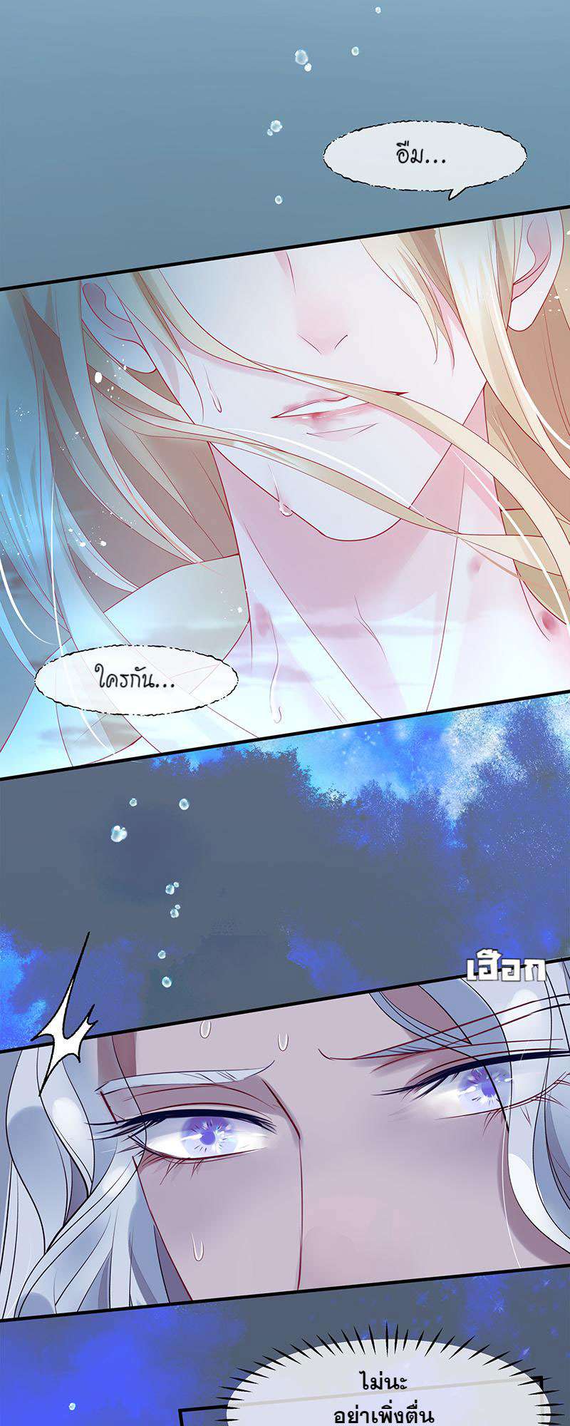 หน้า 41