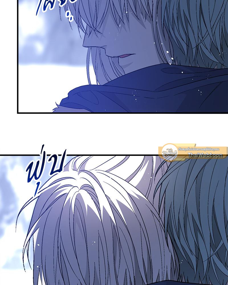 หน้า 117