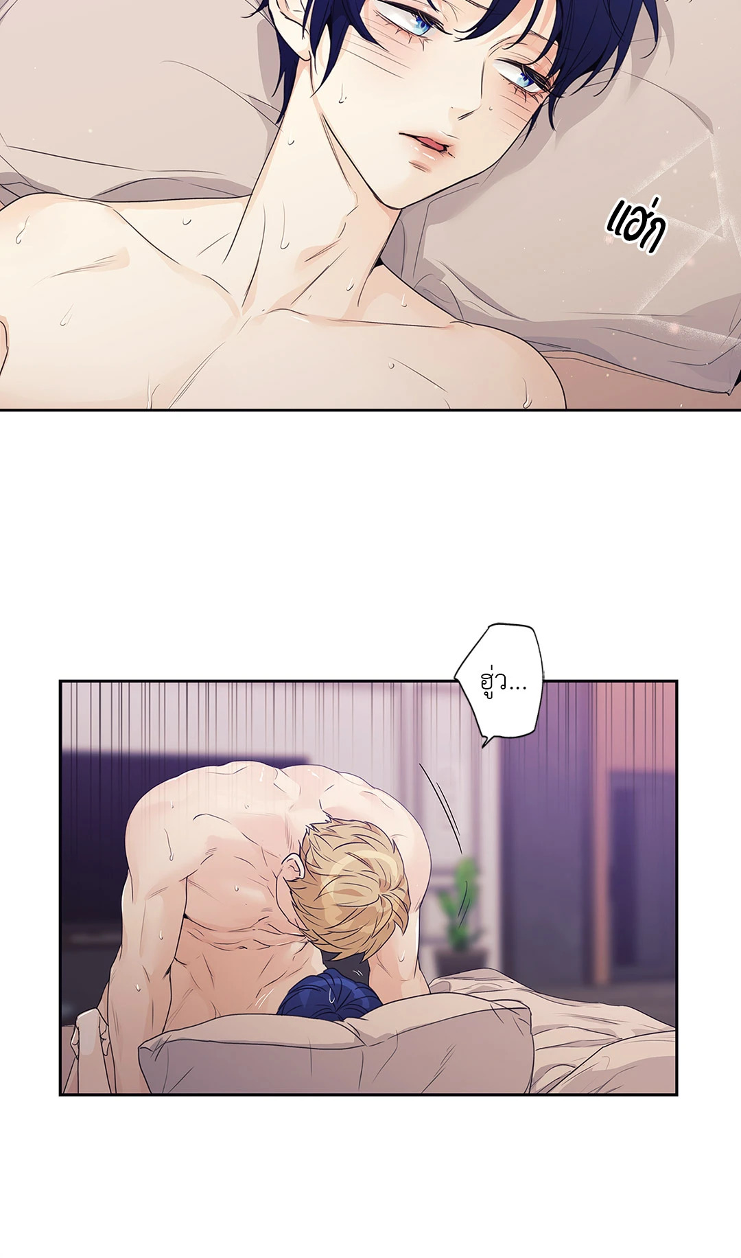 หน้า 42