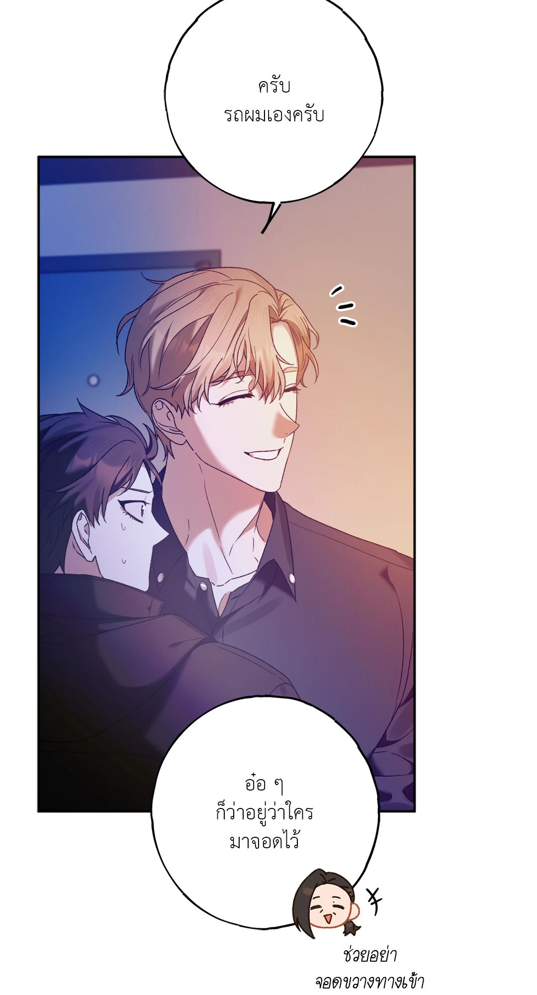 หน้า 29