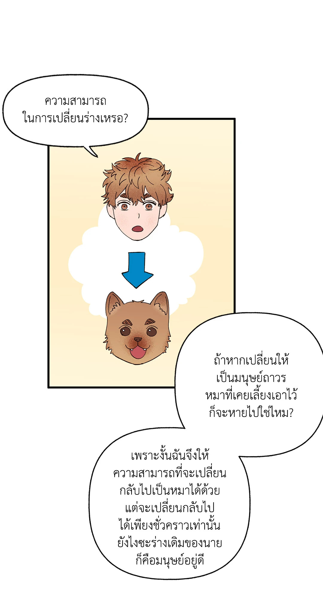 หน้า 41