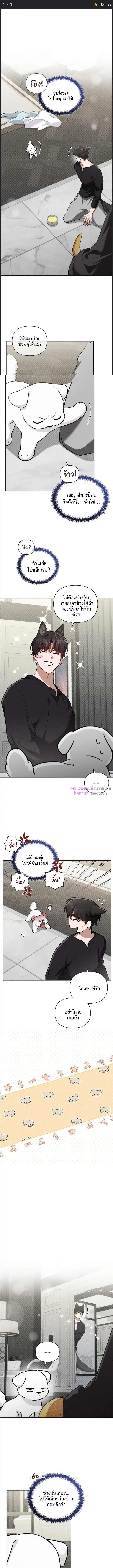 ลูกหมาของฉัน ใครก็ห้ามแตะ! | Don't Mess with the Puppy! ตอนที่ 47 - รูปที่ 2