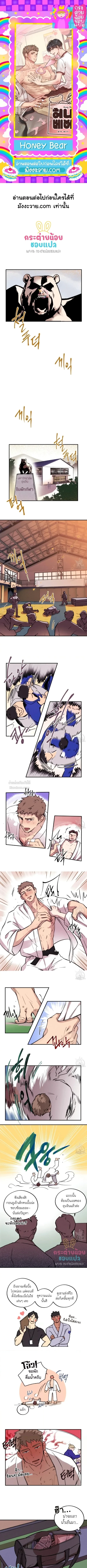 Honey Bear ฮันนี่แบร์ ตอนที่ 2 - รูปที่ 1