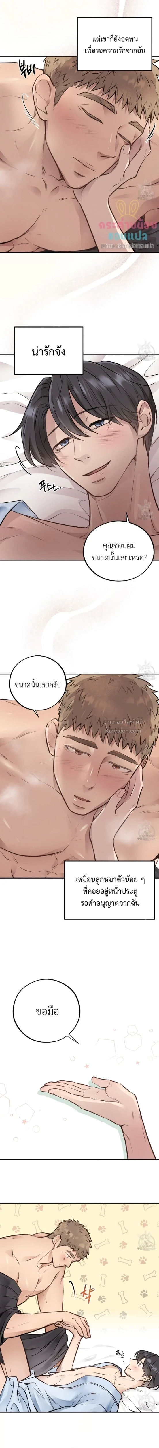 Honey Bear ฮันนี่แบร์ ตอนที่ 19 - รูปที่ 2