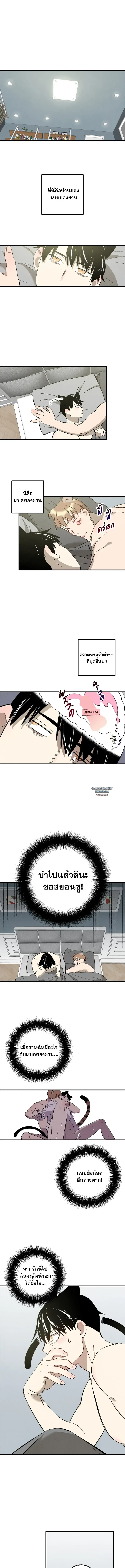 เพอร์เฟกต์บัดดี้ คู่หู อู้ว! แซ่บ | Perfect Buddy ตอนที่ 109 - รูปที่ 2