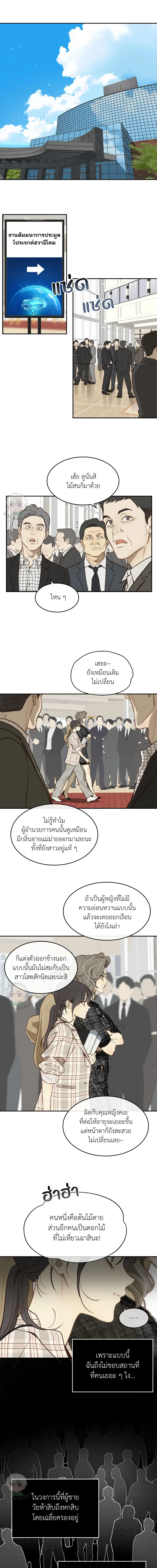 กลลวงกลีบดอกไม้ ตอนที่ 11 - รูปที่ 2