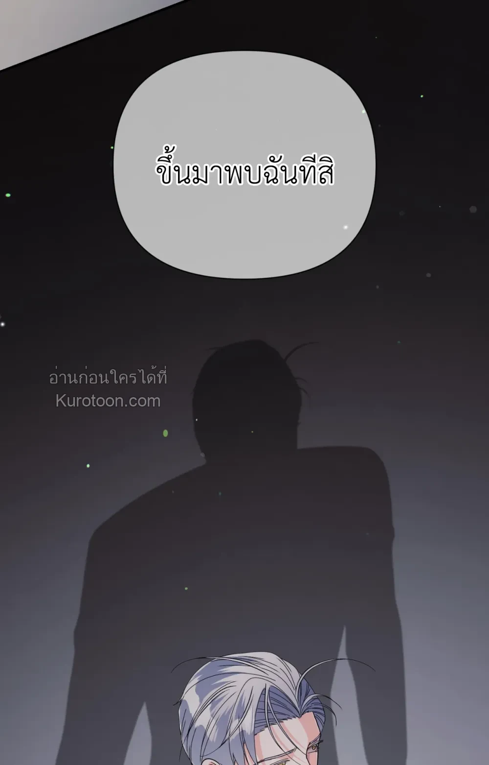 หน้า 95