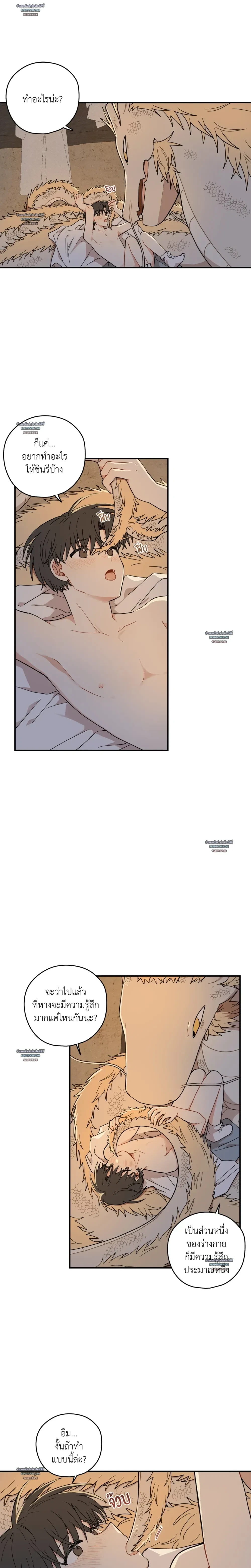 เส้นทางรักดอกแคนารี ตอนที่ 91 - รูปที่ 2