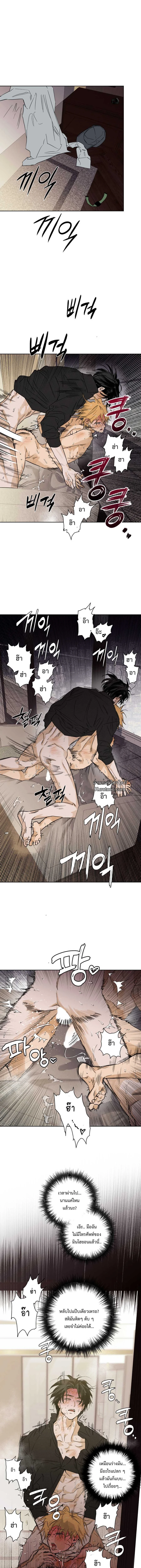 Full Book ตอนที่ 13 - รูปที่ 1