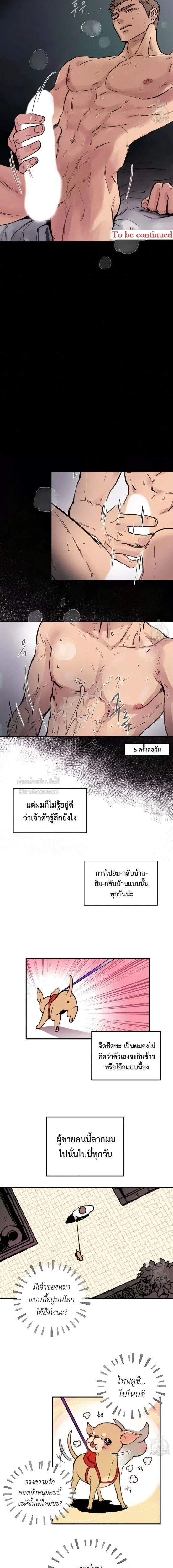 Honey Bear ฮันนี่แบร์ ตอนที่ 1 - รูปที่ 2