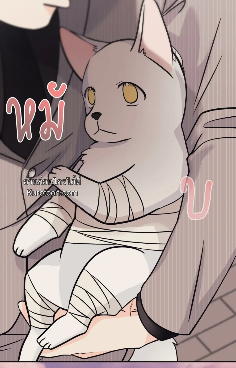 หน้า 62