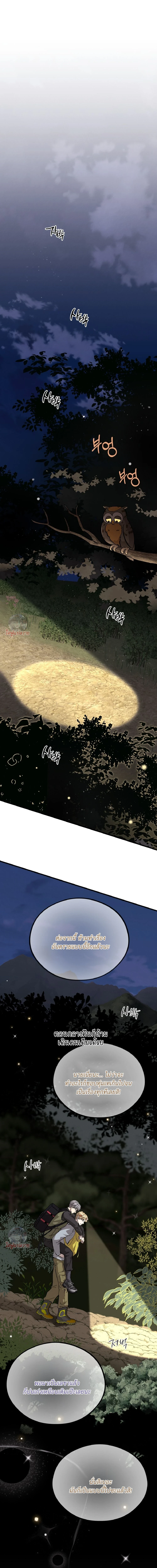 Honey Bear ฮันนี่แบร์ ตอนที่ 83 - รูปที่ 2