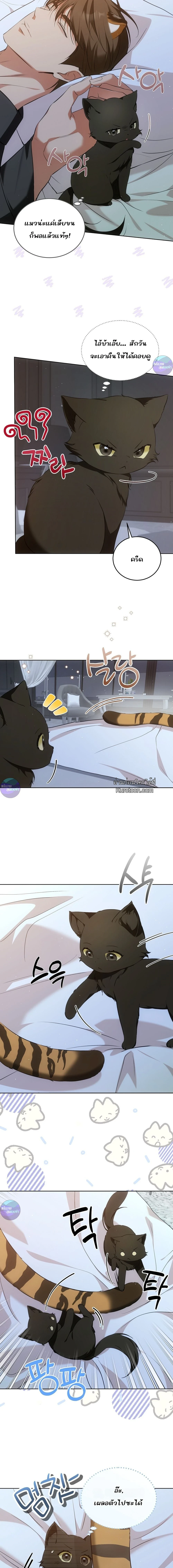 Cat Therapy | บำบัดแมวเหมียว ตอนที่ 7 - รูปที่ 2