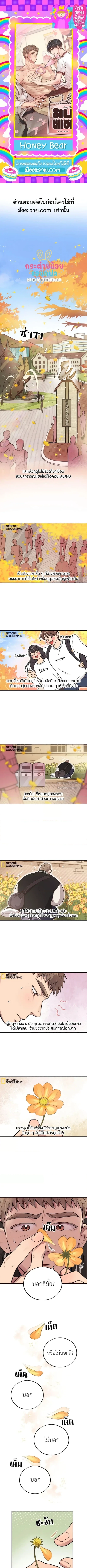 Honey Bear ฮันนี่แบร์ ตอนที่ 31 - รูปที่ 1