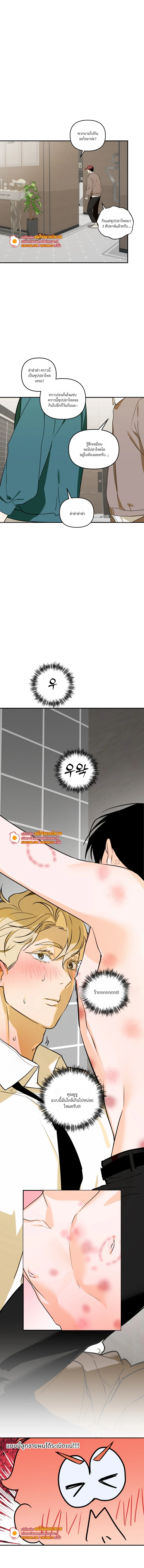 D-Day 8th นับถอยหลัง 8 วัน 디데이 8일 (D-8) ตอนที่ 8 - รูปที่ 2