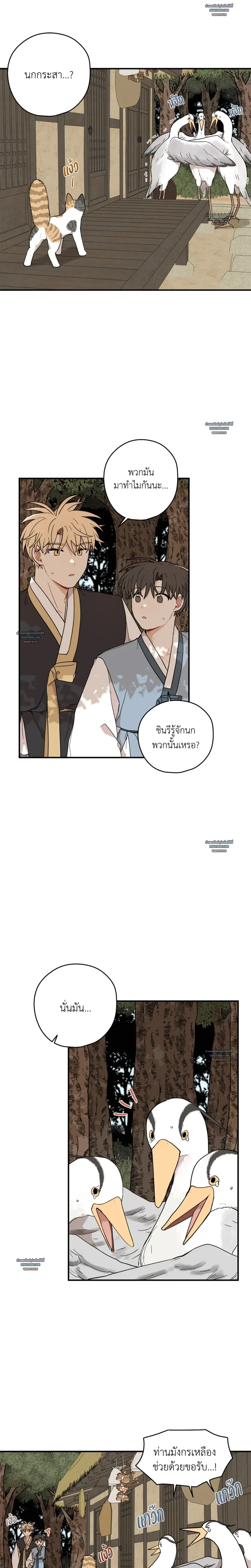 เส้นทางรักดอกแคนารี ตอนที่ 86 - รูปที่ 2