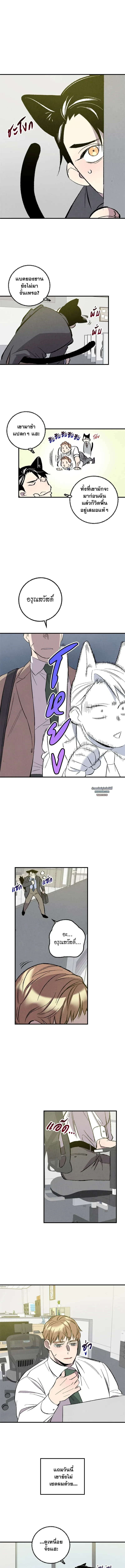 เพอร์เฟกต์บัดดี้ คู่หู อู้ว! แซ่บ | Perfect Buddy ตอนที่ 105 - รูปที่ 2