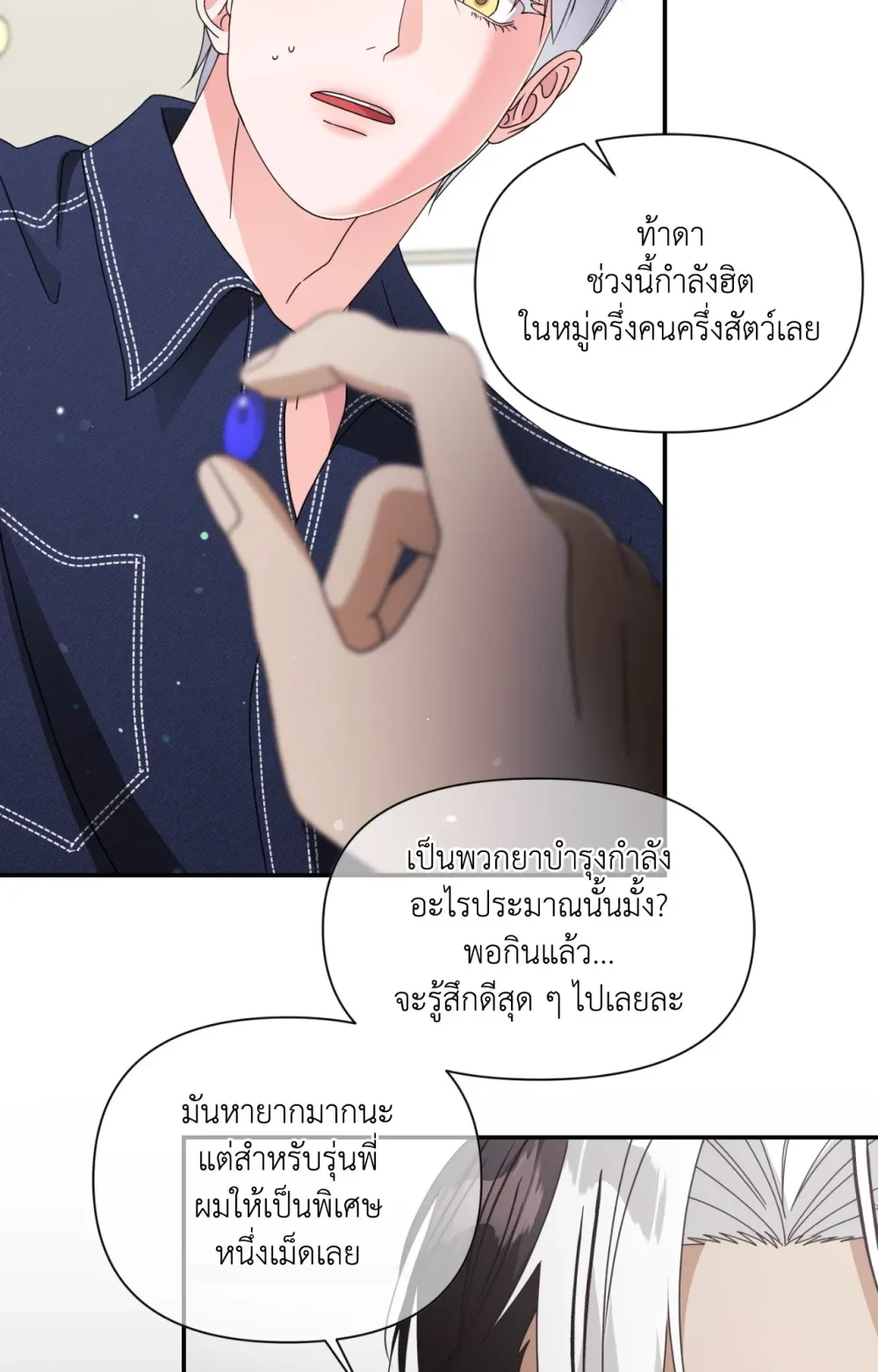 หน้า 43