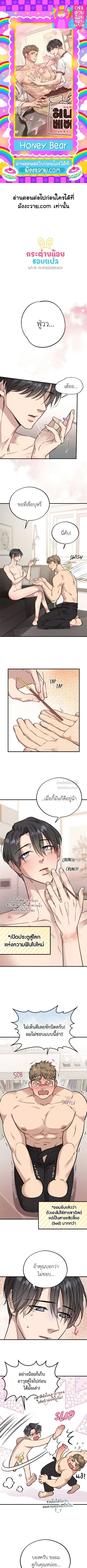 Honey Bear ฮันนี่แบร์ ตอนที่ 43 - รูปที่ 1