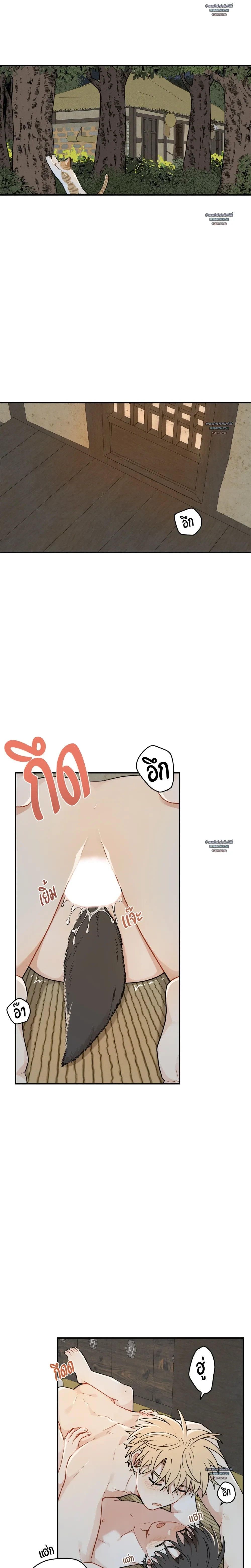 เส้นทางรักดอกแคนารี ตอนที่ 85 - รูปที่ 2