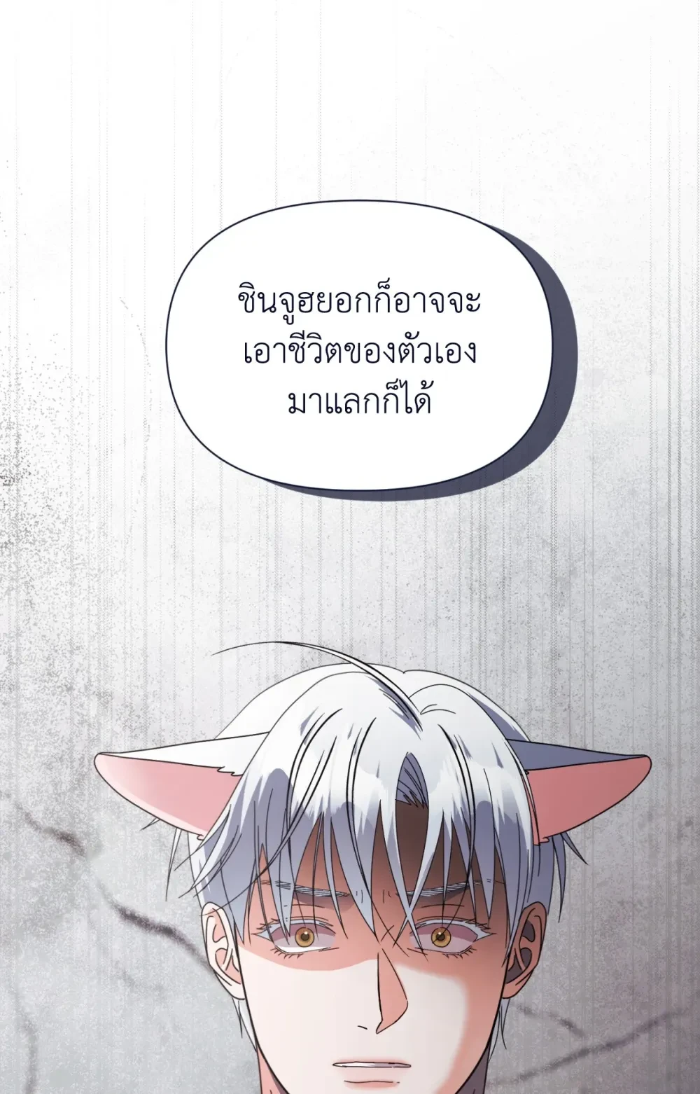 หน้า 102