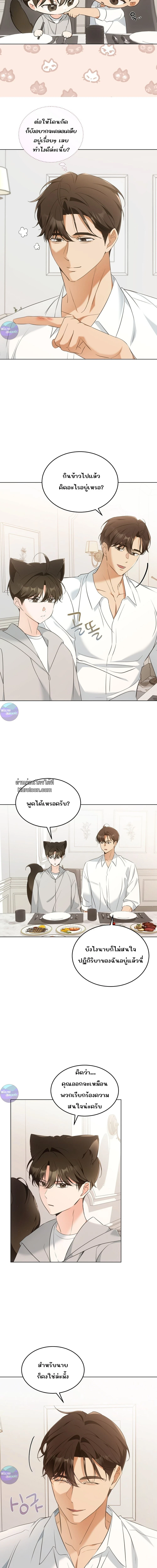 Cat Therapy | บำบัดแมวเหมียว ตอนที่ 10 - รูปที่ 2