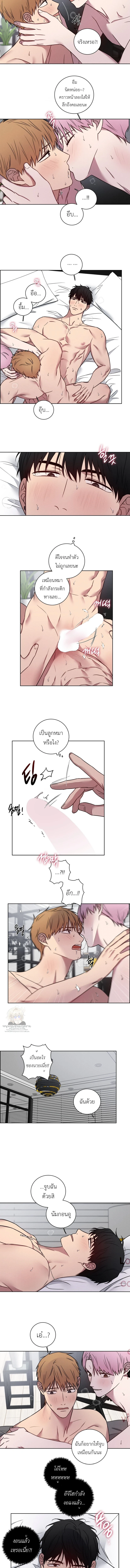 Triangle Lovers : ☓ ☓ ☓ ตอนที่ 11 - รูปที่ 2